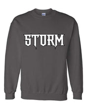 Load image into Gallery viewer, Storm Baseball Crewneck Sweatshirt
